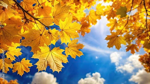 Forced perspective texture of yellow autumn leaves against sky background