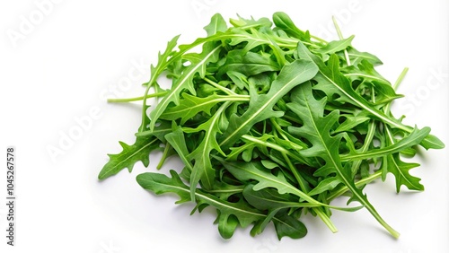 Fresh green arugula leaves