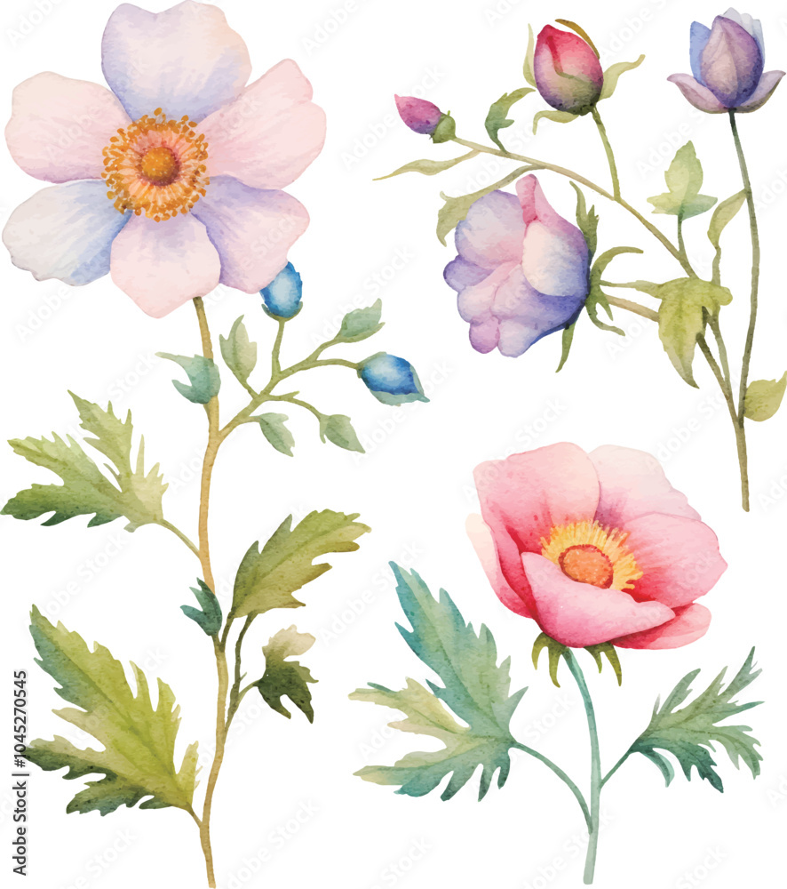 Obraz premium pink and white flowers