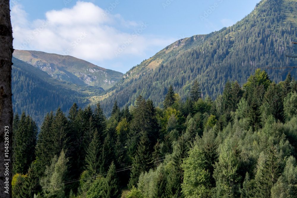 yosemite valley state