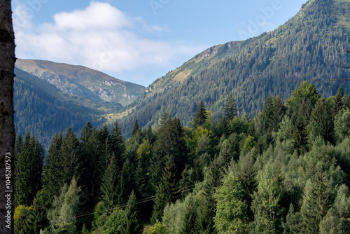 yosemite valley state