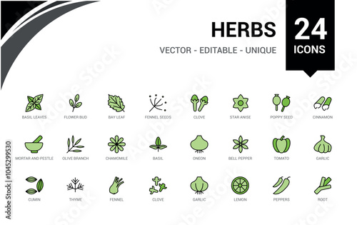 Herbs colorful line icons set. Includes thin line natural, medicine, traditional, spice, treatment, condiment and more. Editable stroke. Vector illustration. Icon names are written in English.