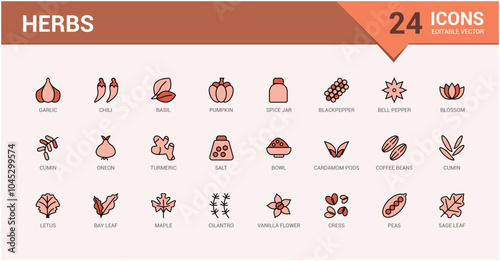 Herbs colorful line icons set. Includes thin line natural, medicine, traditional, spice, treatment, condiment and more. Editable stroke. Vector illustration. Icon names are written in English.