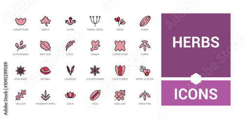 Herbs colorful line icons set. Includes thin line natural, medicine, traditional, spice, treatment, condiment and more. Editable stroke. Vector illustration. Icon names are written in English.