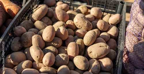 A vibrant scene of a pile of fresh potatoes in various sizes and colors, displayed in a farmer s market stall, surrounded by other fresh vegetables. photo