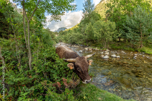 Vall de Sant Nicolau