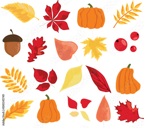 autumn yellow, red leaves, acorns, mountain ash, pumpkin. background for the decoration of autumn holidays, Thanksgiving day. November, October. vector, graphic image.