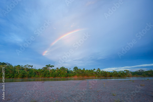 Amazonian national reserve Cuyabeno in Ecuador, wetland with lakes and ponds, river with piranas, dolphins, caymans, snakes and birds, aerial landscape view, green forest. photo