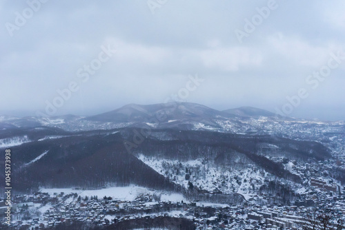 Snow Mountain, forest and village in snowy day