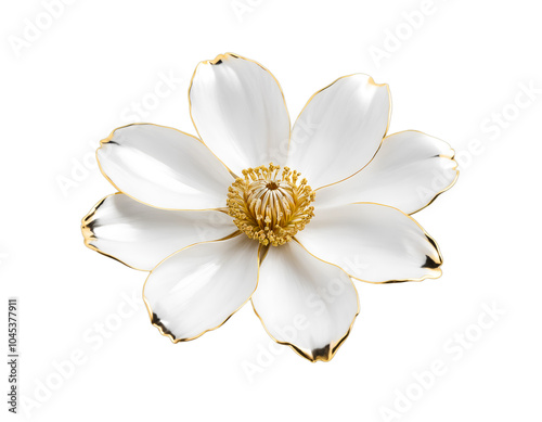 white flower isolated on transparent background	