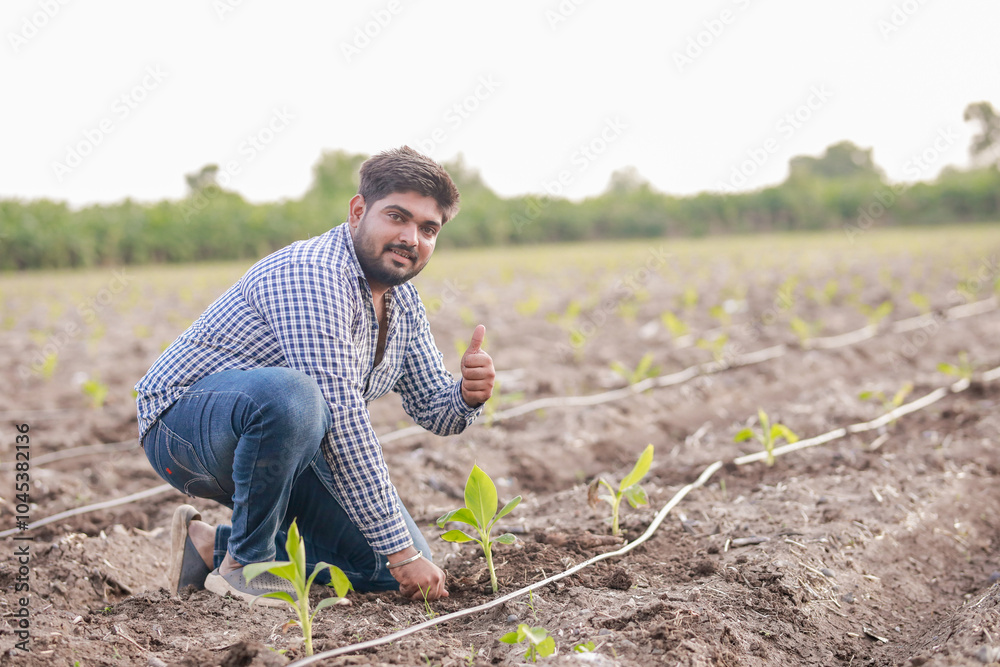 Fototapeta premium happy Indian farmer holding Banana tree