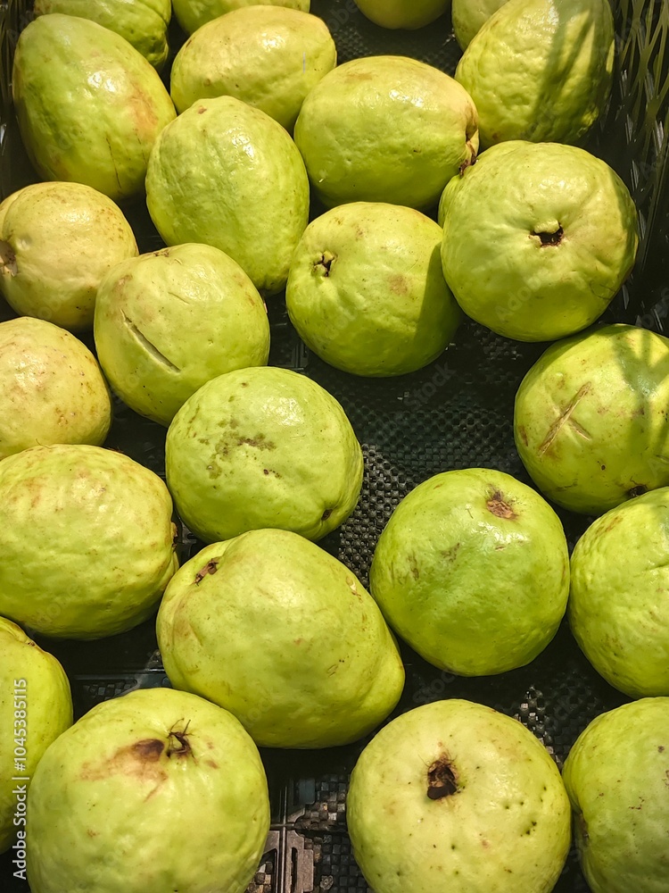 Fresh Green Guavas Displayed in a Basket for Sale at a Market Stall Fresh Green Guavas Displayed in a Basket for Sale at a Market Stall