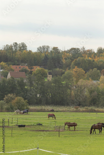 A picturesque scene featuring a diverse group of horses contentedly grazing in a lush green field, with majestic trees visible in the background