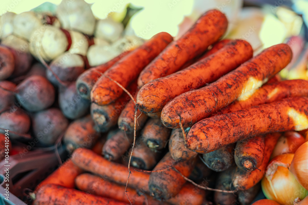 Close-up heap of carrot. Harvested young fresh organic bio raw vegetable on the market. Cooking, homemade gardening and healthy food concept, vitamins for strong immunity Close-up heap of carrot. Harvested young fresh organic bio raw vegetable on the market. Cooking, homemade gardening and healthy food concept, vitamins for strong immunity