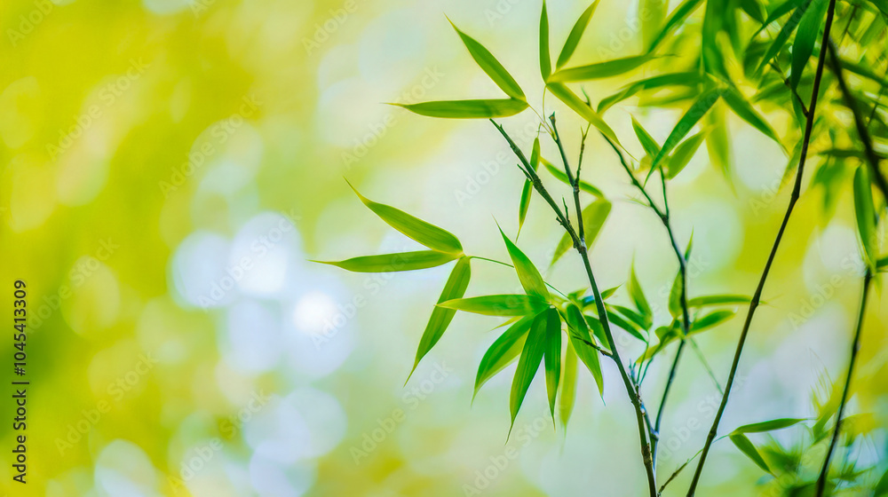 Close-up of Vibrant Bamboo Leaves with Sunlit Background
