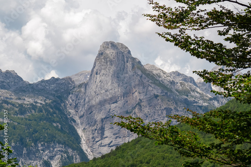 Majestic mountain ridge Maja Harapit towering over alpine forest in Albanian Alps (Accursed Mountains) in Northern Albania. Scenic hiking trail from Valbona to Theth. Wanderlust in alpine wilderness photo