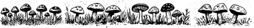 The family of poisonous mushrooms is drawn by hand in modern style. Dangerous mushrooms are depicted as toadstool, fly agaric, white toadstool, in white with a black background.