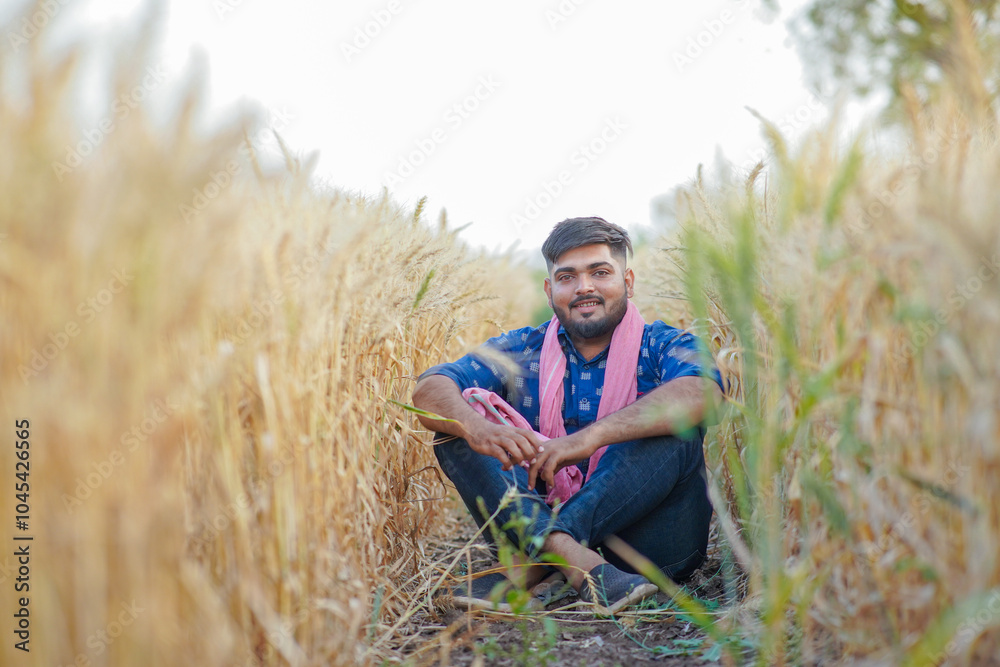 Young Indian smart farmer, wheat farming Young Indian smart farmer, wheat farming