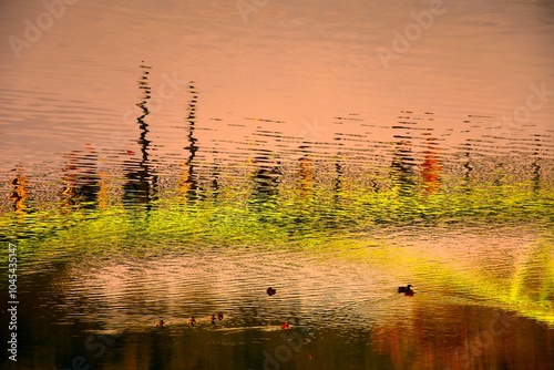 Wallpaper Mural sunset on the lake Torontodigital.ca