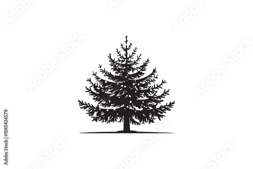A Spruce tree vector silhouette image made by adobe illustrator..eps