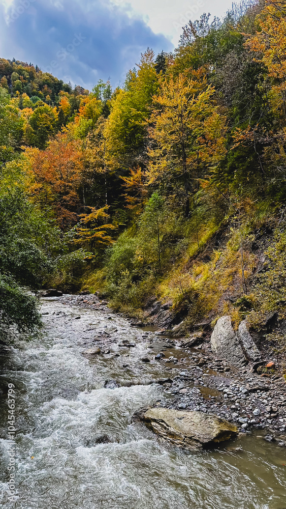 A fast-flowing mountain stream rushes through rocky banks, lined with trees adorned in vibrant autumn foliage. The picturesque scene captures the essence of fall in a mountainous, serene landscape. A fast-flowing mountain stream rushes through rocky banks, lined with trees adorned in vibrant autumn foliage. The picturesque scene captures the essence of fall in a mountainous, serene landscape.