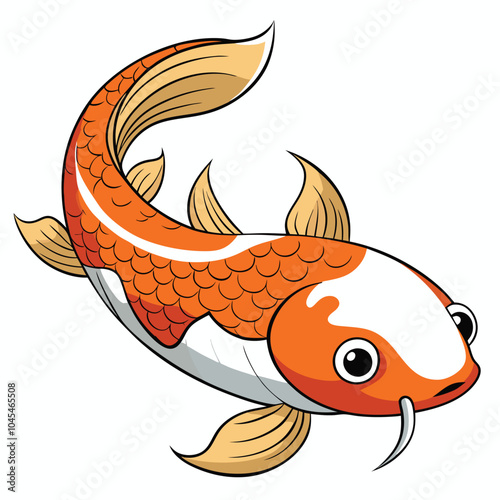 koi fish colorful vector  illustration Isolated white background.