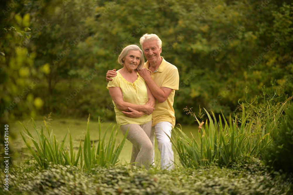Fototapeta premium Beautiful elderly couple walking in the park