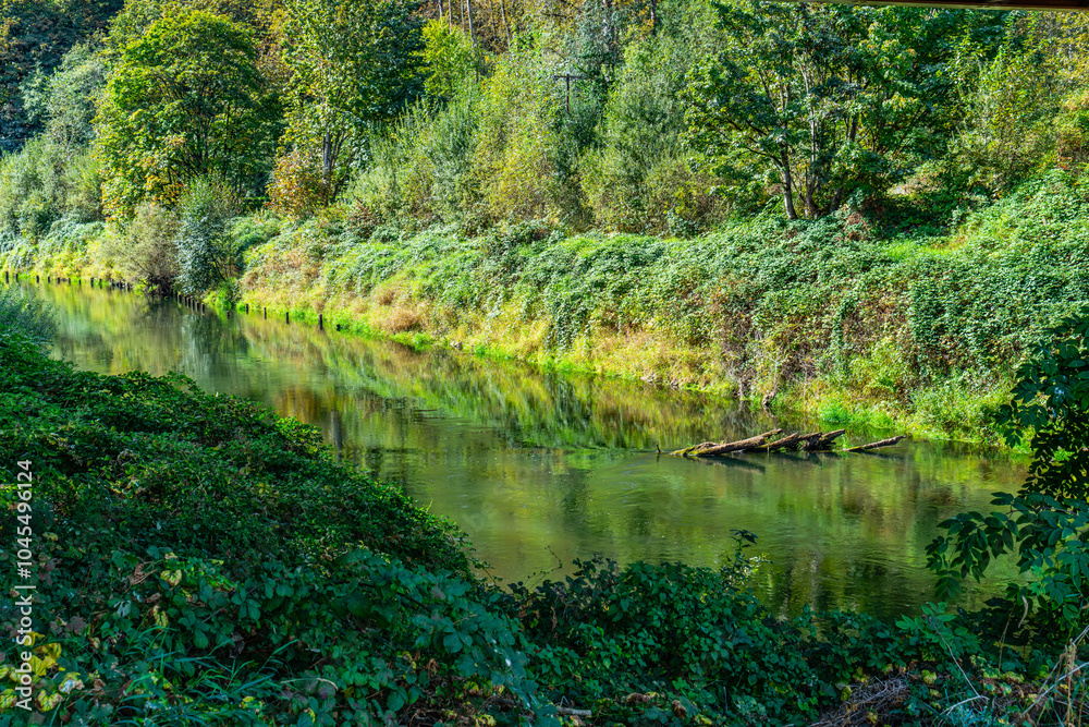 Serene Green River Serene Green River