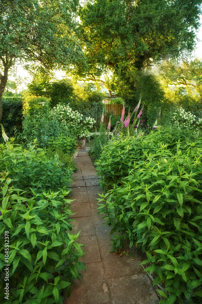 Garden, park and environment with path by plants for eco friendly, growth and travel destination. Outdoor, ground and trail with greenery at nature reserve for natural, sustainability and vacation Garden, park and environment with path by plants for eco friendly, growth and travel destination. Outdoor, ground and trail with greenery at nature reserve for natural, sustainability and vacation
