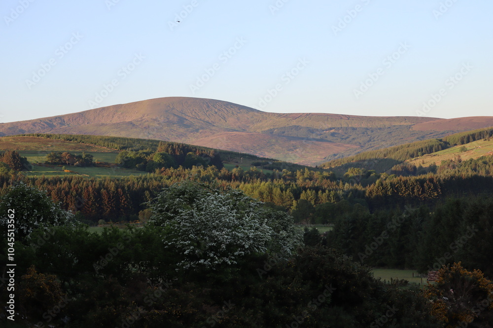 Naklejka premium Wicklow Mountains