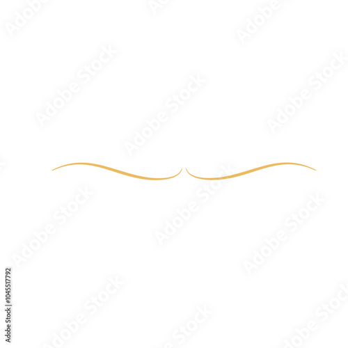 Elegant gold divider thin line