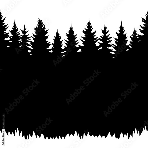 Black silhouette of coniferous forest bordering clear sky