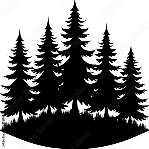 Black silhouette of coniferous trees forming a forest