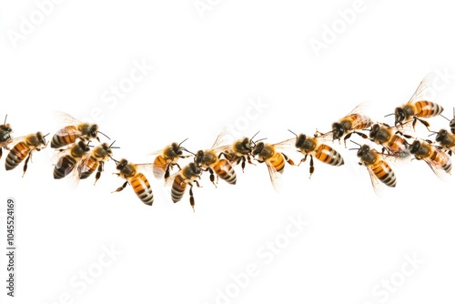 A group of bees flying in mid-air, free and unencumbered photo