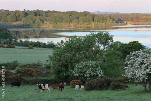 Blessington Lake photo