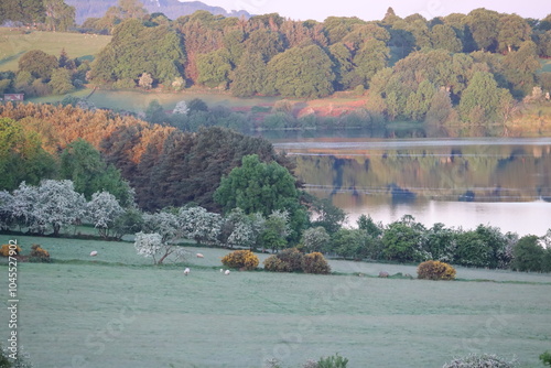 Blessington Lake photo