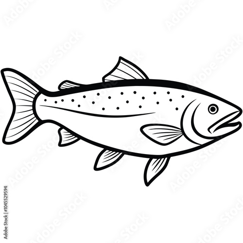 Trout fish line art vector illustration Isolated white background.