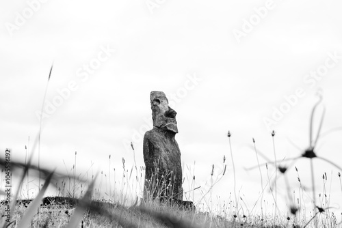 Moai solitario en isla de pascua 