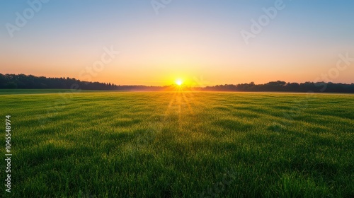 A stunning sunrise over a lush green field, highlighting the beauty of nature and the tranquility of the morning light.