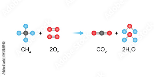 Complete Combustion Scientific Design. Vector Illustration.
