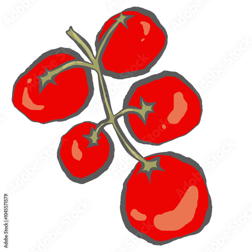 Hand Drawn Tomatoes on the Vine Tomato Cluster Doodles Vegetable Clipart Mediterranean Outline Illustration Tomato Lineart