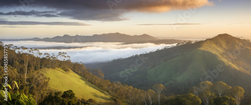 A serene and misty dawn breaks over the lush green hills of Tamborine Mountain, Queensland, with the rugged Great Dividing Range unfolding in the background. photo