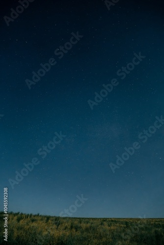 Starry Night Sky Over Field