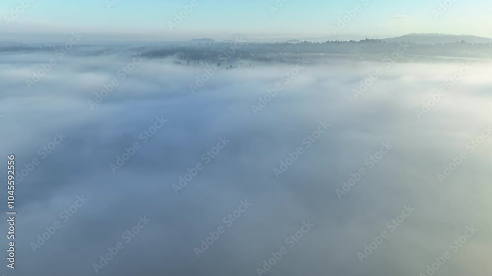Early morning fog drifts through the Willamette Valley in West Linn, Oregon. This scenic area lies just south of the Pacific Northwest city of Portland.