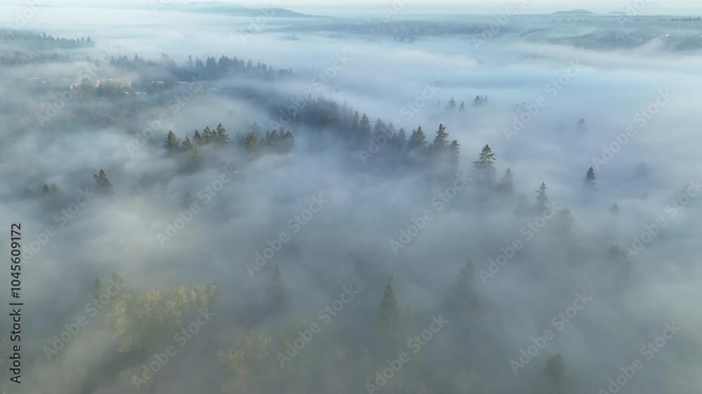 Early morning fog drifts through the Willamette Valley in West Linn, Oregon. This scenic area lies just south of the Pacific Northwest city of Portland.