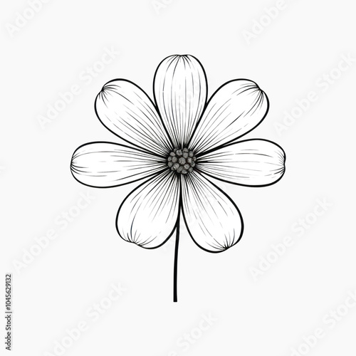 Detailed black and white flower