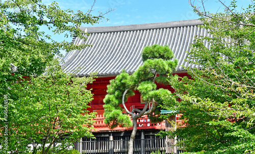 Tokyo; Japan - august 10 2024 : Ueno park photo