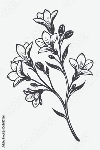 Freesia Branch with Flowers Silhouette Vector Art for Elegant Floral Designs and Beautiful Graphics