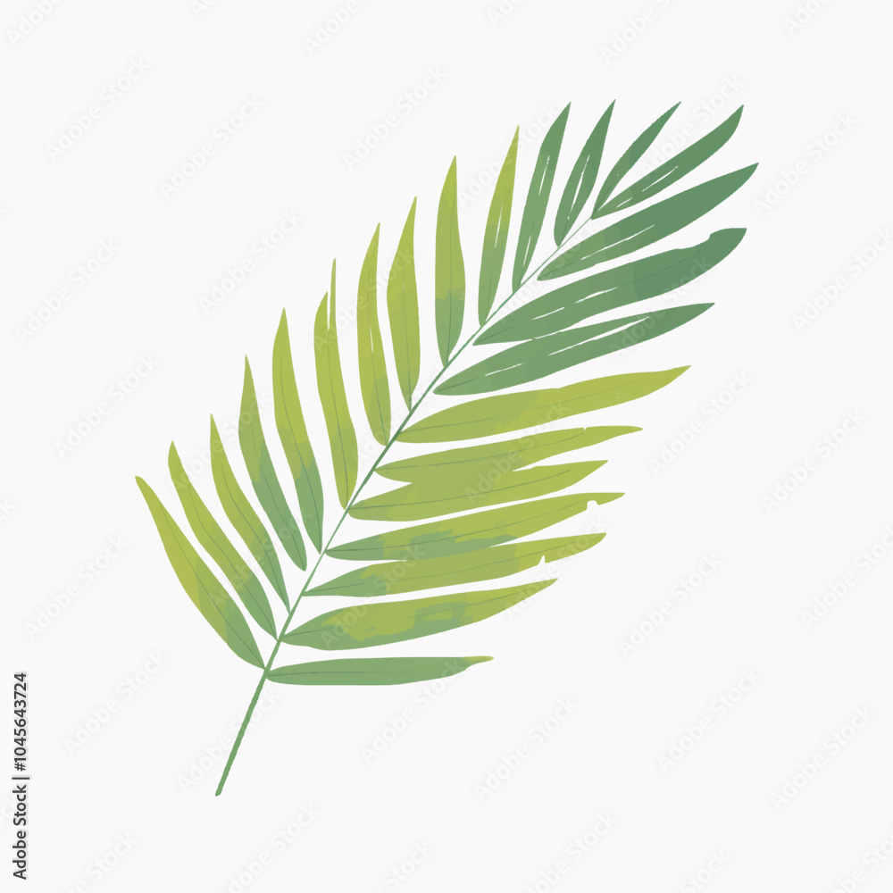 Fototapeta premium Tropical green palm leaf illustration