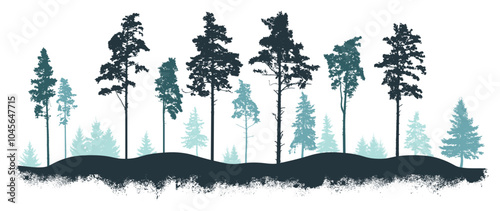 Winter coniferous forest. Silhouettes of pines, spruce trees. Vector illustration